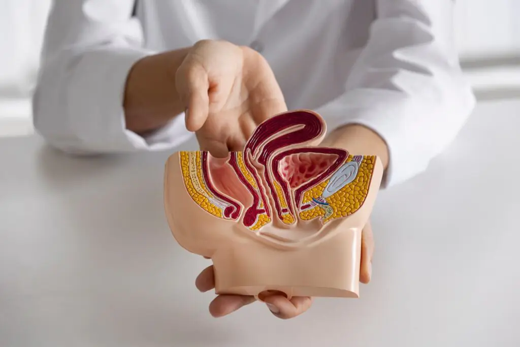 hemorroides, hemorroides internas, hemorroides externas | gedyt gastroenterología análisis y terapéutica